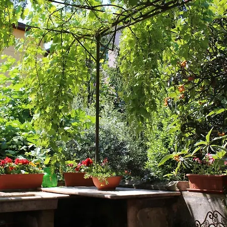 La Terrazza In Centro Apartamento Pietrasanta